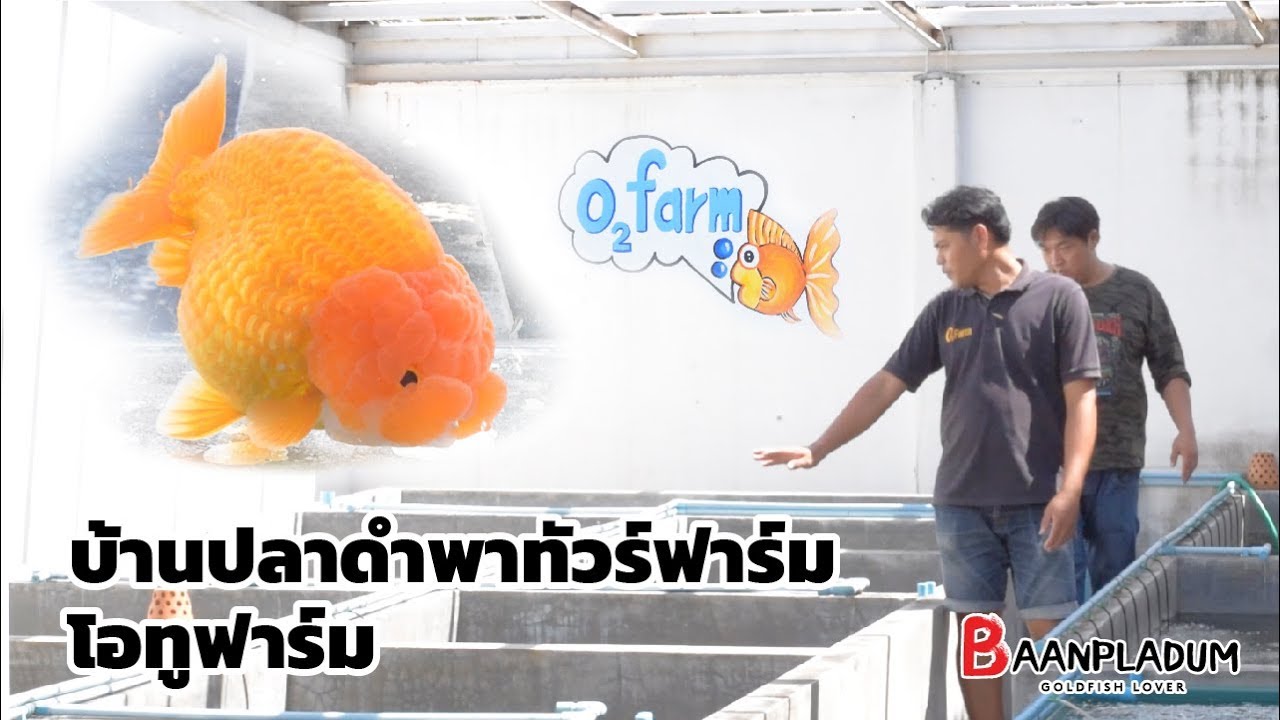บ้านปลาดำพาทัวร์ O2 Farm (โอทูฟาร์ม)