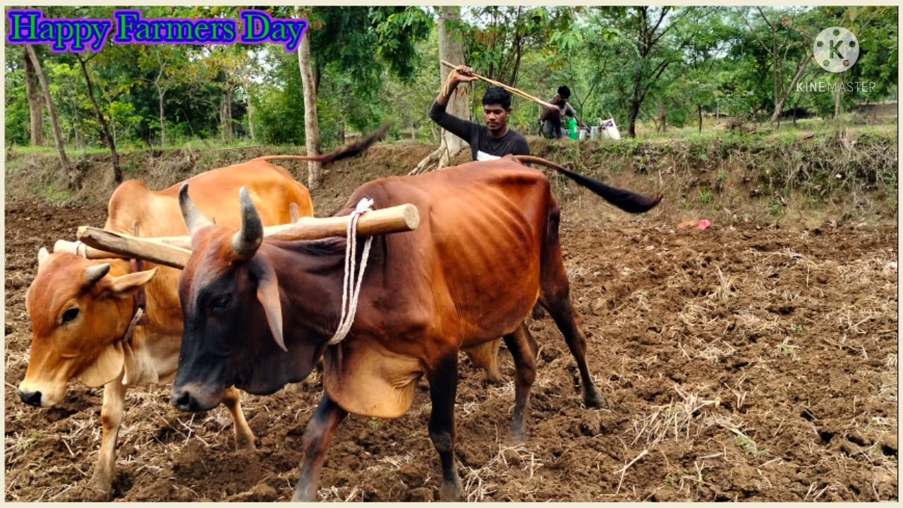 Happy Farmers Day