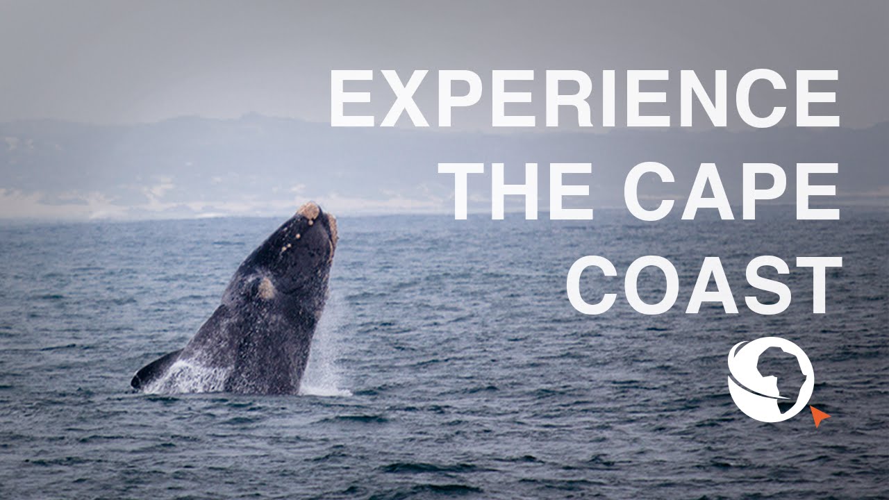Enjoy a Self Drive Vacation in the Garden Route, South Africa