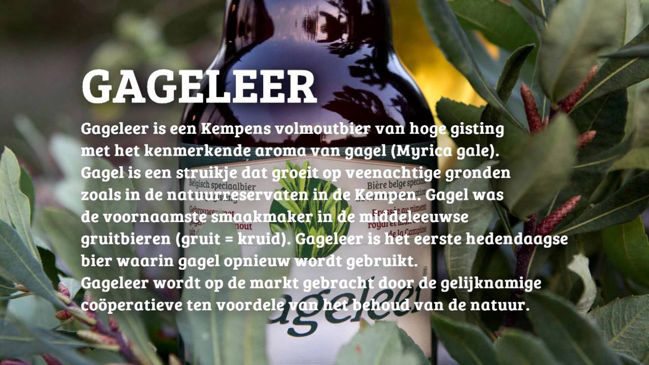 GageleerTV - Radio 2