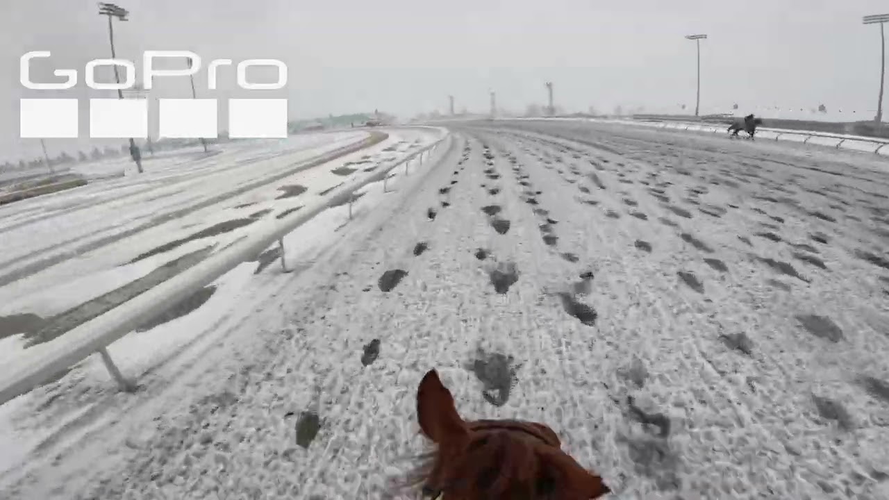 GOPRO Beautiful Snowy Morning Riding a Monster 