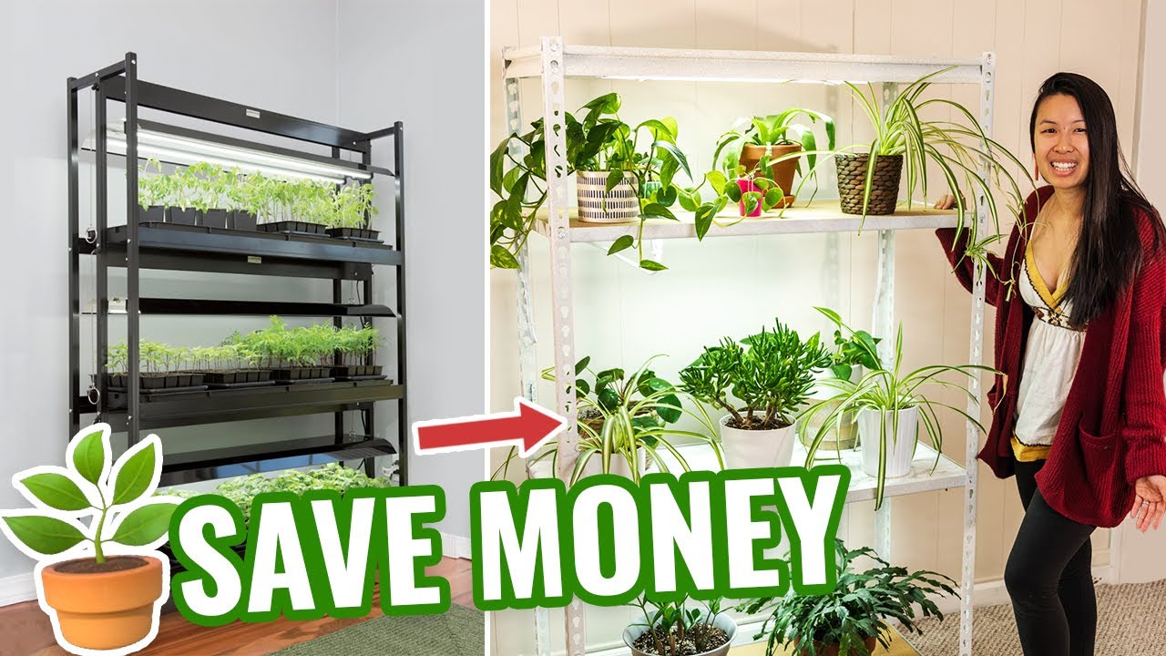 DIY Grow Light System for Plants (Save HUNDREDS of Dollars!) 🌿