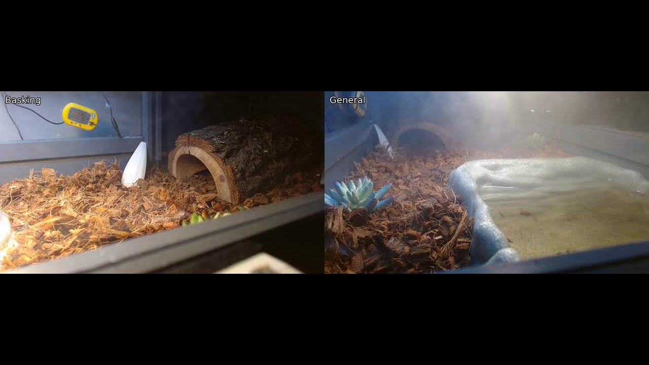 Stream via RTMP (OBS, Vmix, Zoom) with Restream