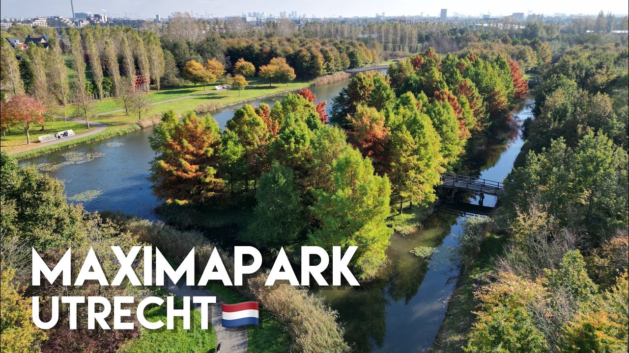Maxima Park, Utrecht 🇳🇱
