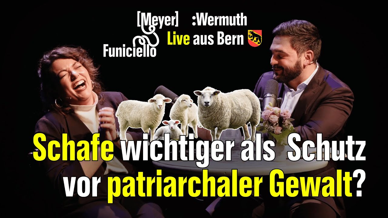 Gefährliche SVP-Motion für mehr Taschenmunition | Meyer:Wermuth