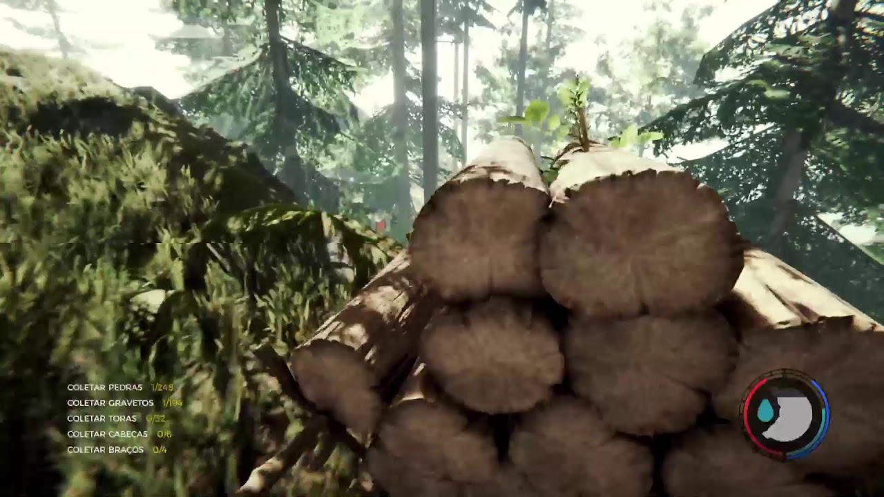 The Forest