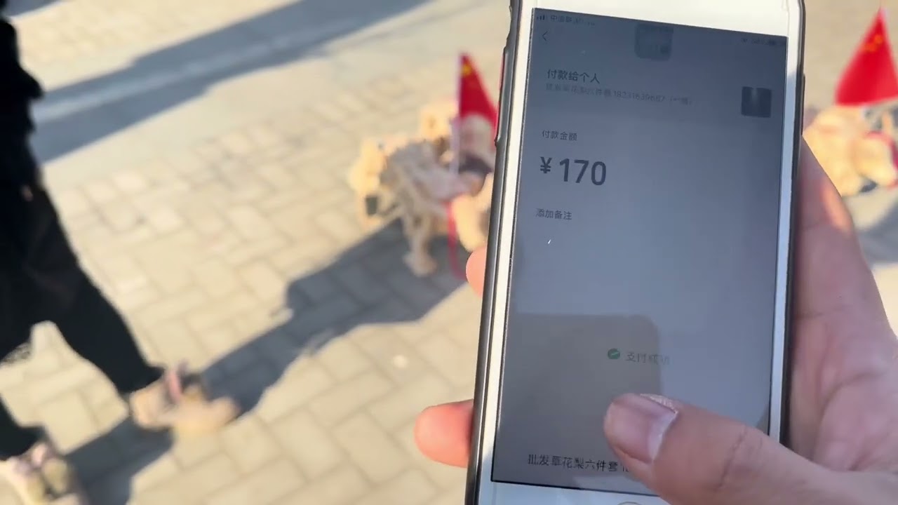 红木大集上重现诸葛亮发明的木牛流马，小李砍价拿一个给粉丝。