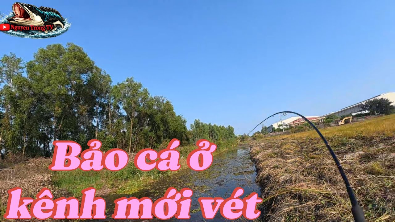 C&acirc;u c&aacute; l&oacute;c khu c&ocirc;ng nghiệp mới v&eacute;t k&ecirc;nh c&aacute; ăn thấy m&ecirc;