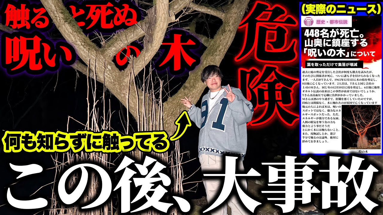 448名が亡くなった呪いの木を何も知らない先輩に触らせたら交通事故にあった。【心霊】