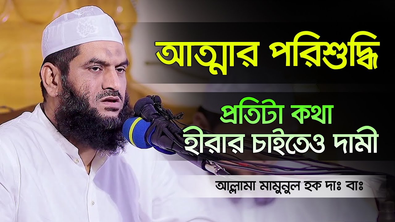 New Waz আত্মার পরিশুদ্ধি কি? Allama Mamunul Haque waz | মামুনুল হক নতুন ওয়াজ