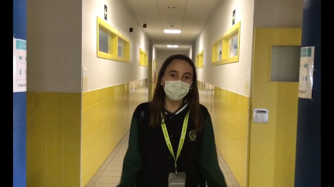 Littertubers en Primaria