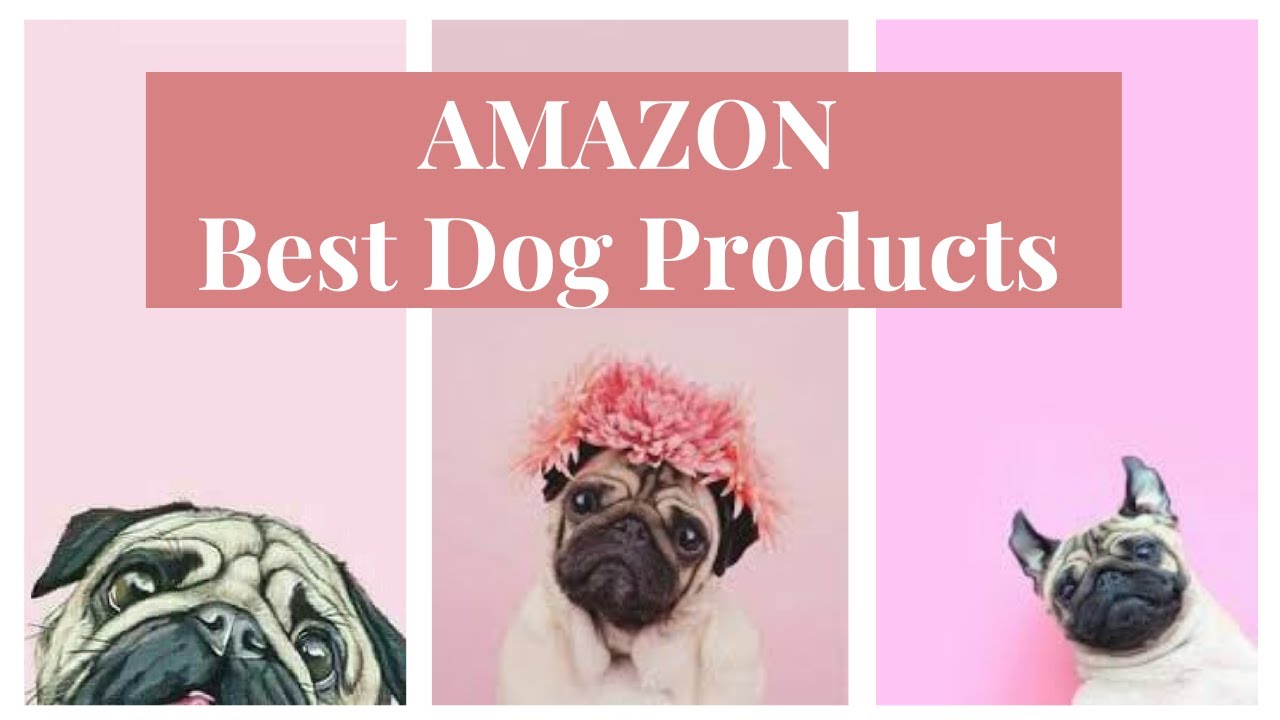 Amazon Dog Finds TikTok Compilation with Links!