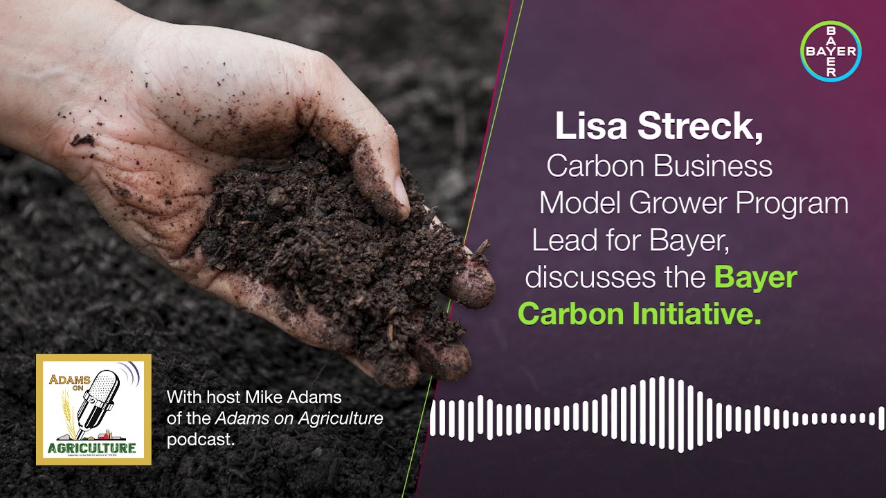 Lisa Streck, Carbon Business Model Grower Program lead for Bayer
