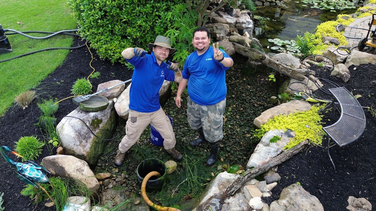 How to Clean a Wetland Filter the RIGHT Way!