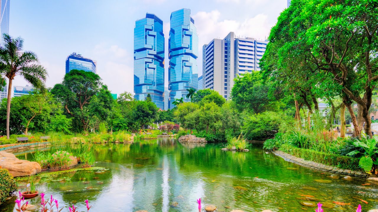 Hong Kong Top Things To Do Viator Travel Guide