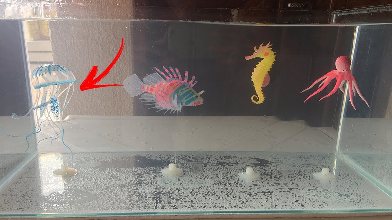 COLOQUEI VÁRIOS ANIMAIS AQUÁTICOS QUE PARECEM DE VERDADE DENTRO DO AQUÁRIO! (ATÉ ÁGUA-VIVA)