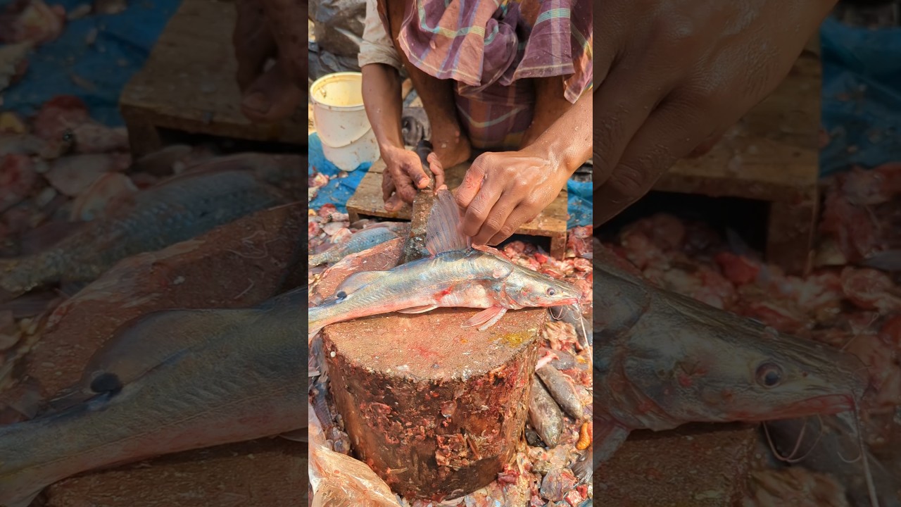 Astonishing!!😱😳 | Perfect Size Ayr Fish Cutting Skills in Bangladesh || #shorts #cuttingskills