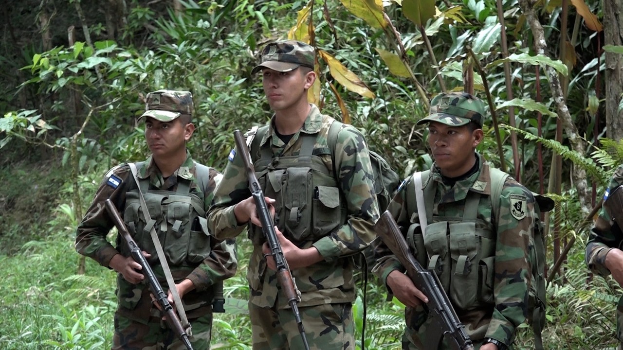 Ejército fortalece protección de recursos naturales con resultados estratégicos