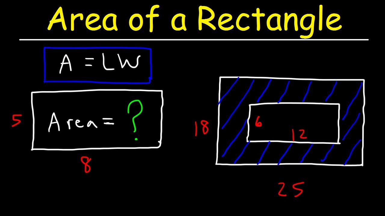 How To Find The Area of a Rectangle | Math