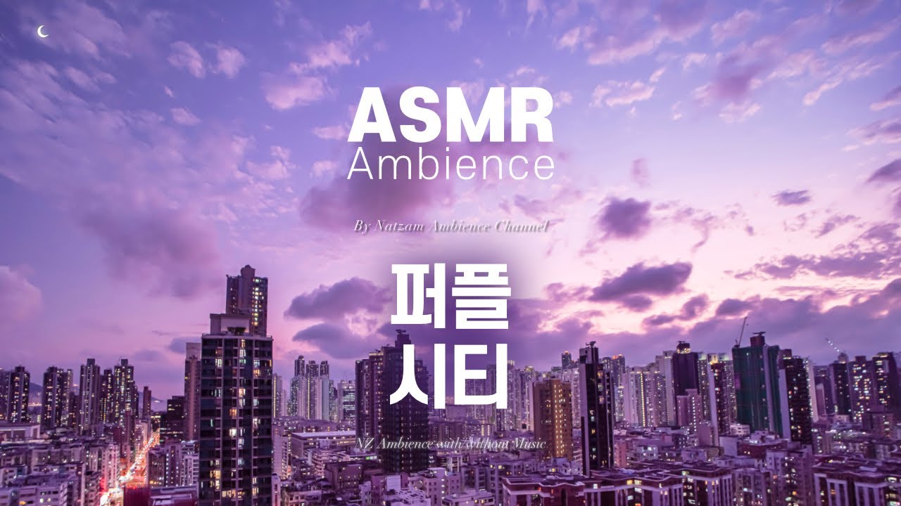 퍼플 시티는 당신을 구합니다🌙잠 못 이루는 밤에 듣는 [퍼플 시티] ASMR