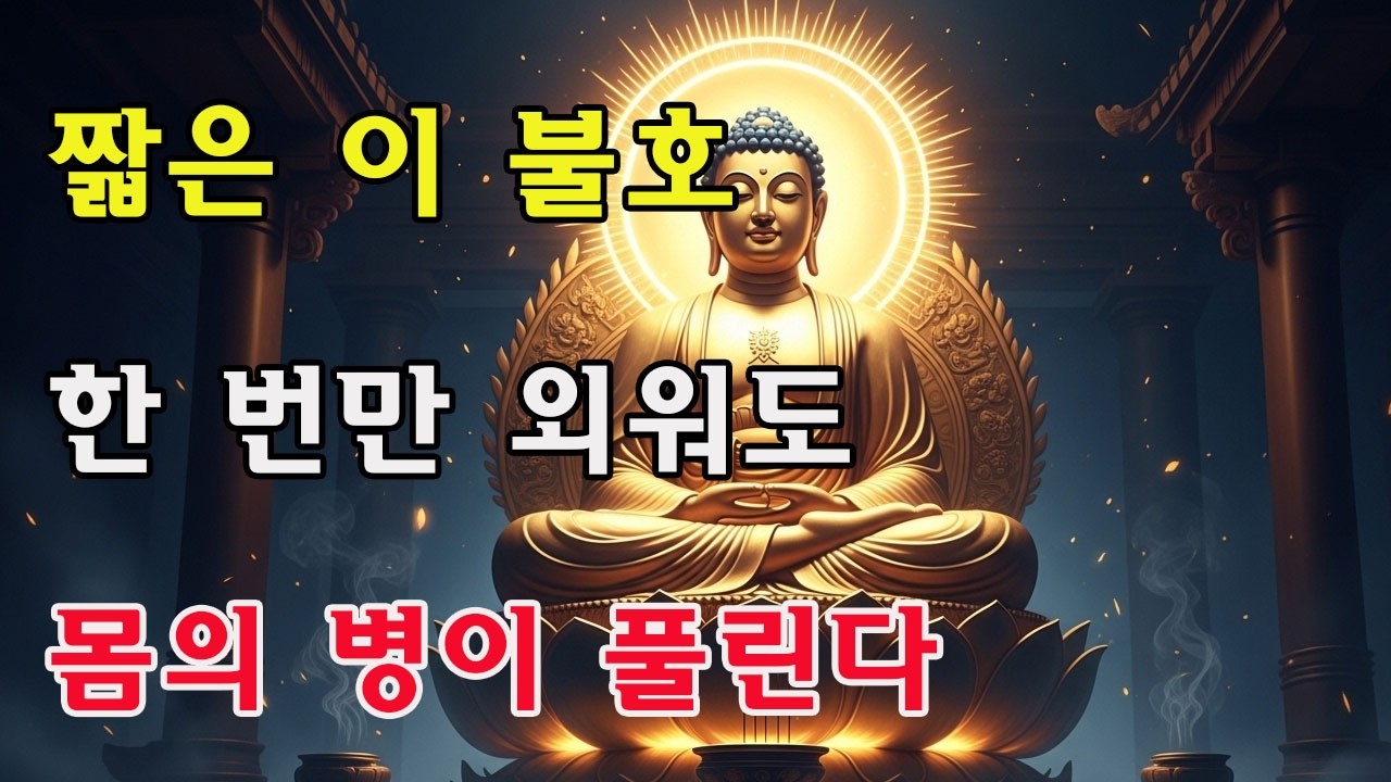 몸이 약한 사람은 매일 이 불주를 한 번 염하라! 불보살이 모든 재난과 병을 물리친다