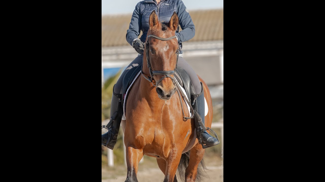 Invasor janvier 2024