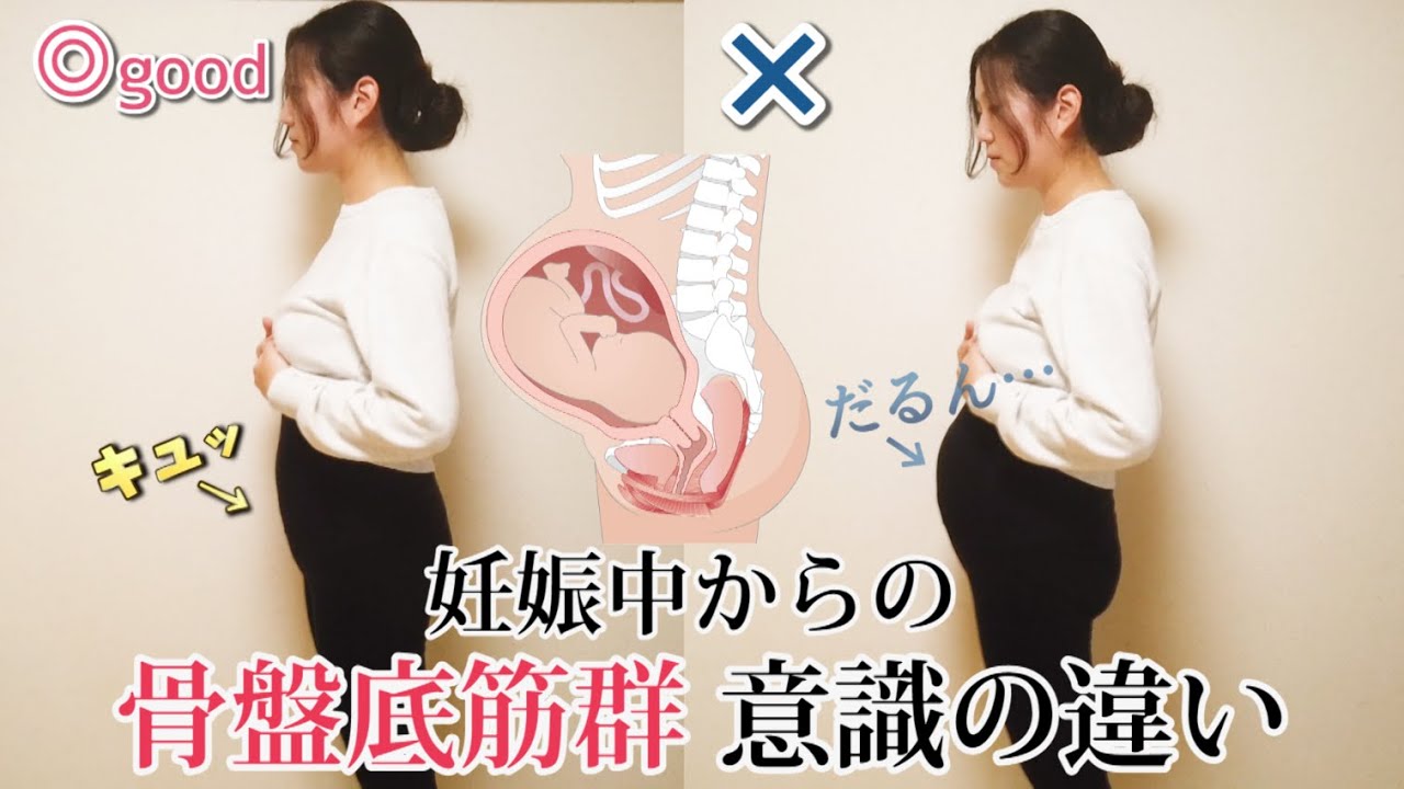 【放置は危険】妊娠中のNG姿勢集！（骨盤底筋群と姿勢のはなし）