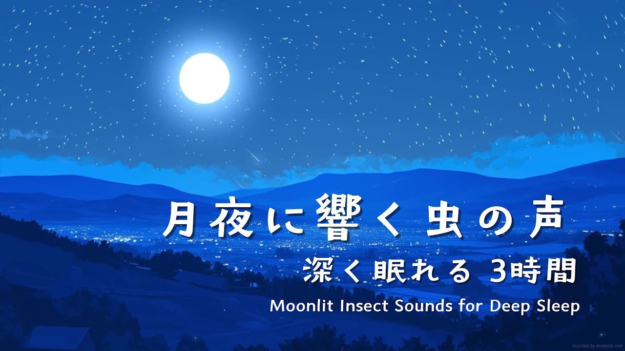 【睡眠用BGM｜3時間】月夜に響く虫の声｜深い眠りへ導き、自律神経を整える | Crickets Sound for Sleep