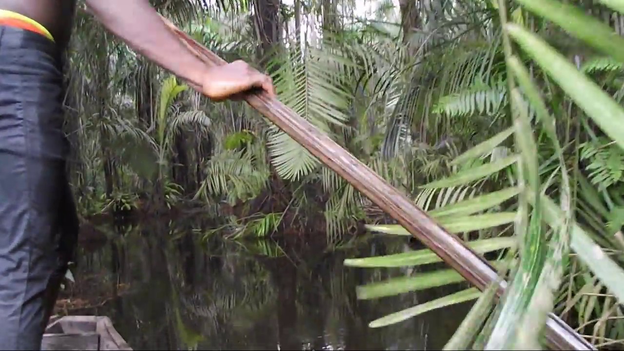 Zambo - Afrokun