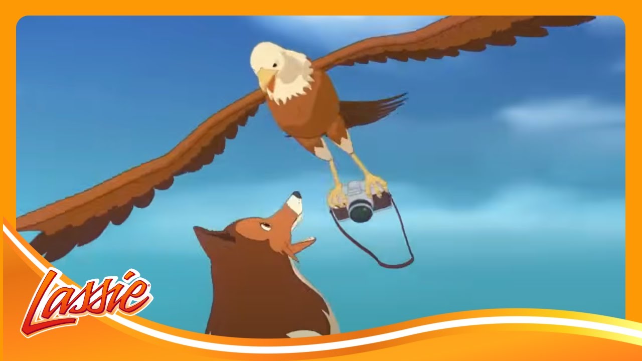 📸 A Brave Dog’s Adventure In The Wild and More Cartoons for Kids | Lassie Episode Compilation