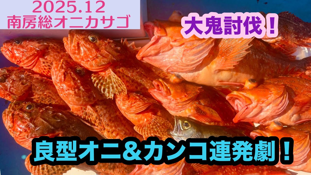 【2025.12】大鬼討伐！良型オニ＆カンコ連発！！