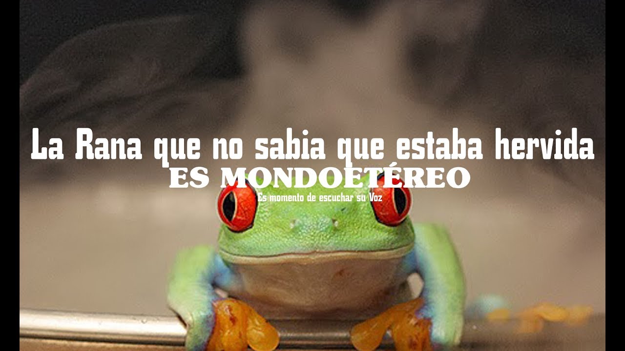 La Rana que no sabia que estaba hervida - Es MondoEtereo