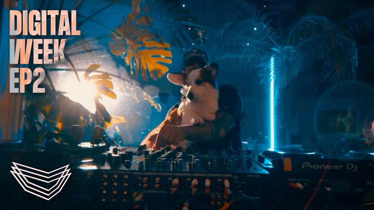 Vintage Culture @ Digital Week EP2 | @vintageculture  ​