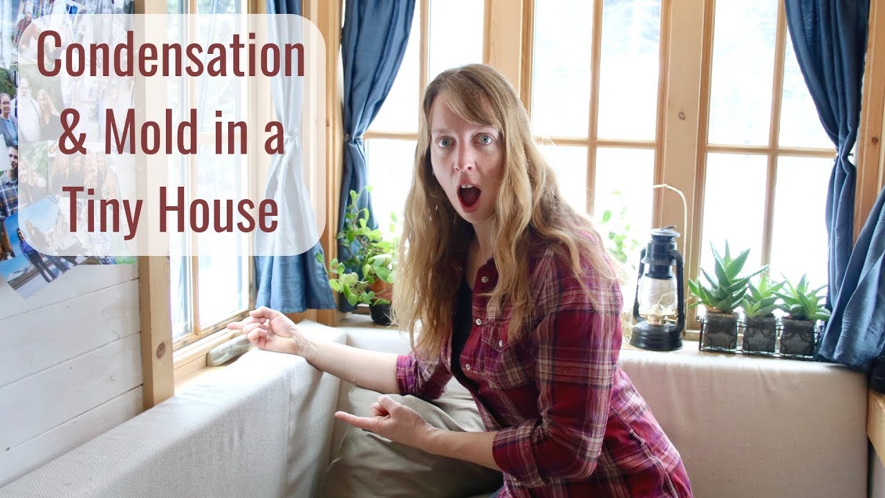 Life in a Tiny House called Fy Nyth - Condensation & Mold