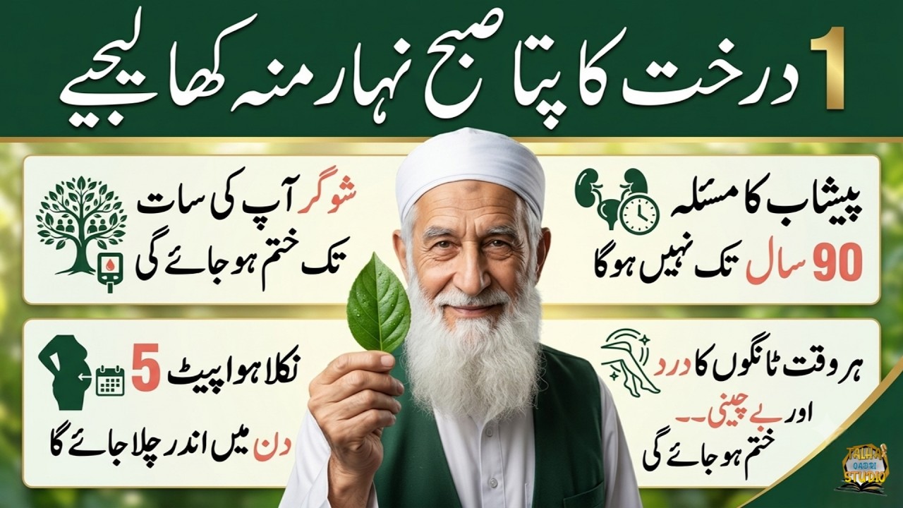 Quotes About life | Rumi Quotes | Sunheri Golden Words | Best Urdu Quotes | Hikmat ke baatin