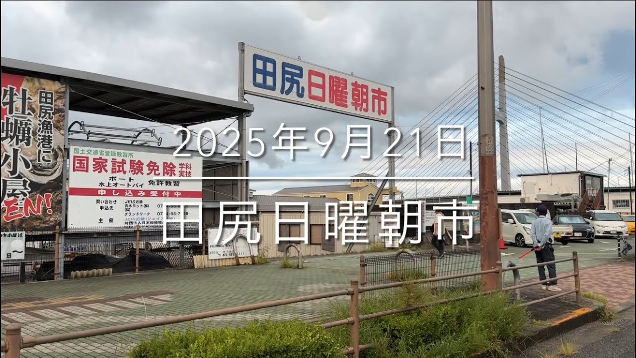 【知らなきゃ損】大阪が誇る【大漁鮮魚の叩き売り⁉︎】『田尻漁港』最強朝市