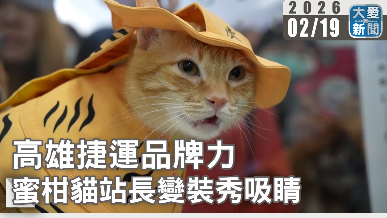 高雄捷運品牌力 蜜柑貓站長變裝秀吸睛｜#大愛新聞 #蜜柑站長 #高雄捷運