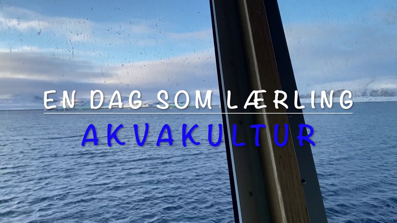 Utdanningsprogram - Akvakultur ved Nordkapp Vgs