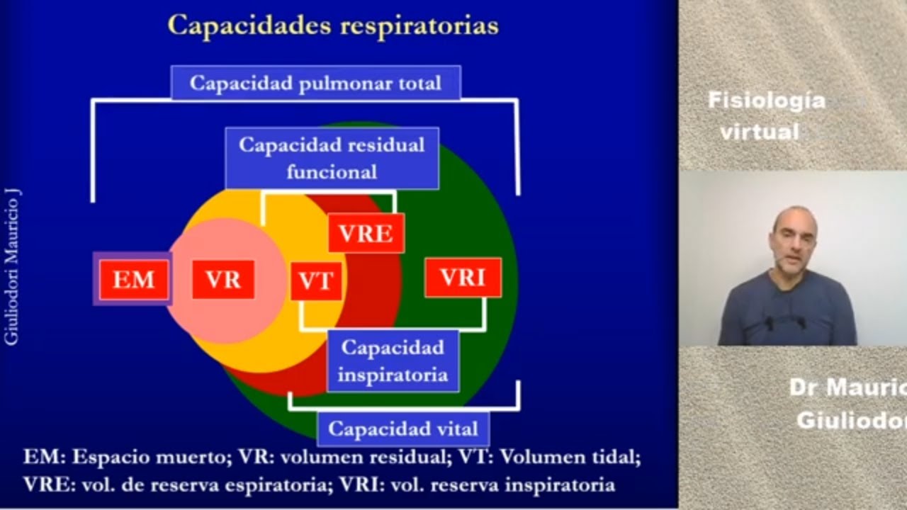 Fisiología respiratoria: volúmenes y capacidades pulmonares en respiración en reposo y forzada