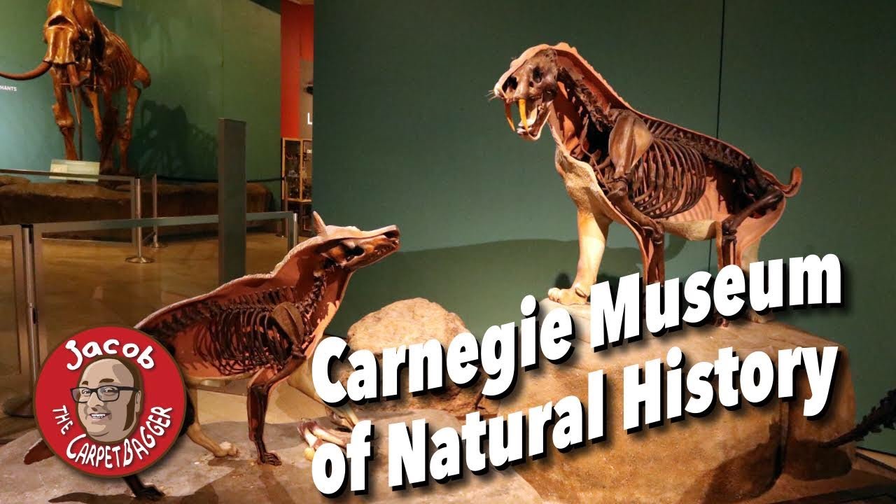 Secrets of the Carnegie Museum of Natural History