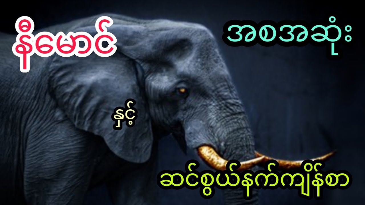 နီမောင် နှင့် ဆင်စွယ်နက်ကျိန်စာ (အစအဆုံး)