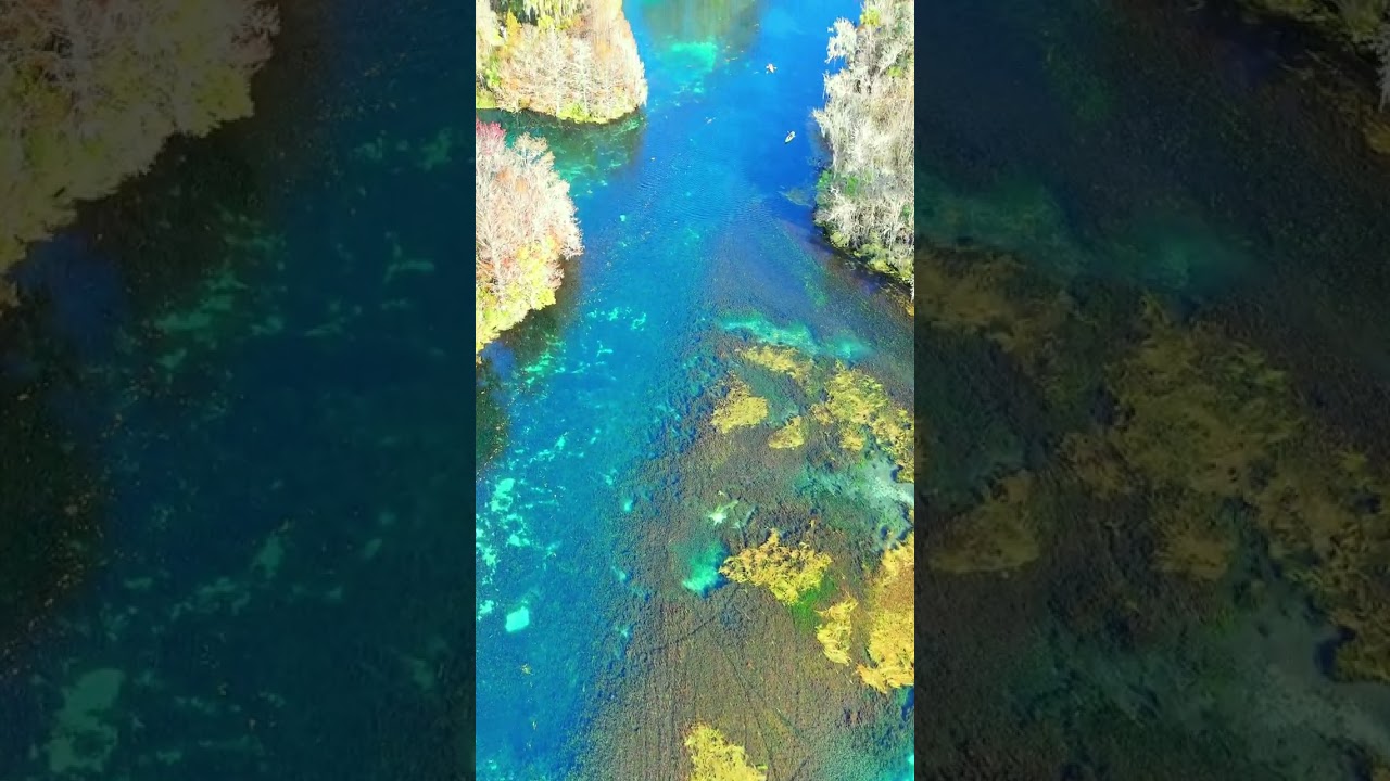 🇺🇲Silver spring state Park🇺🇲 Sunshine state #sunshinestate #floridaexplored #dji #drone #djiair3