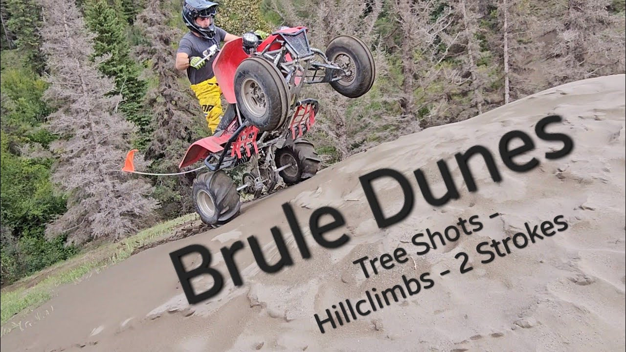 Brule Dunes - Tree Shots & Two Strokes