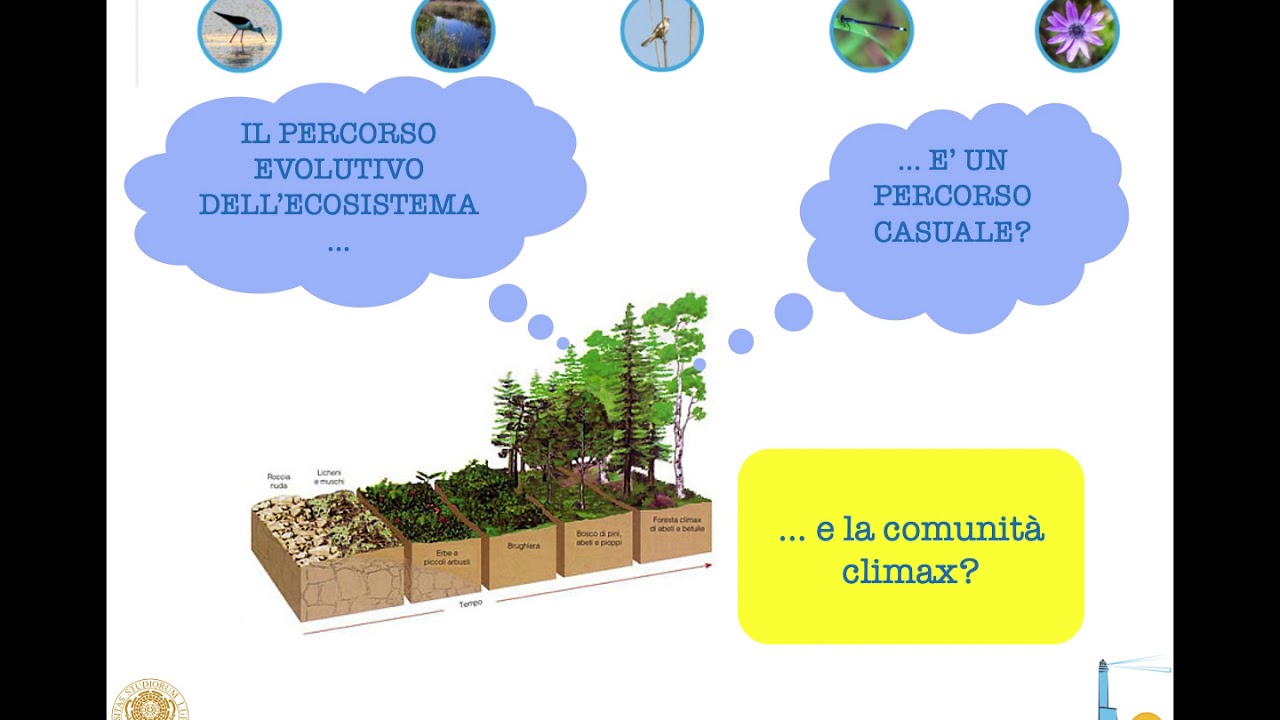 Le successioni ecologiche
