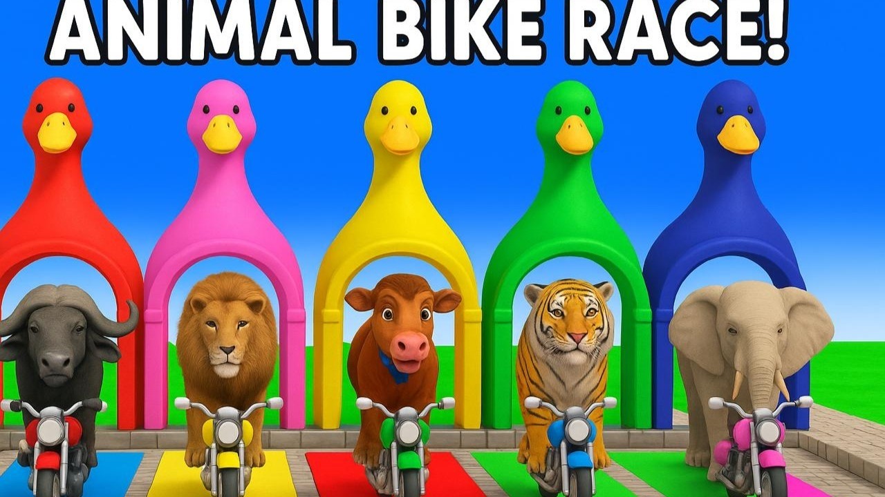 Long Slide Game With Cow Elephant Gorilla Hippopotamus Tiger 3d Animal Game Funny 3d Animals
