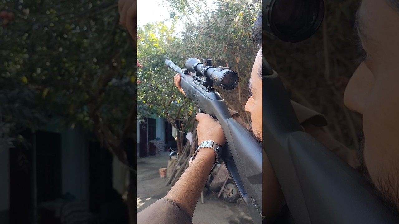 Airgun 101: Beginner's Guide | Airgun Maintenance Tips