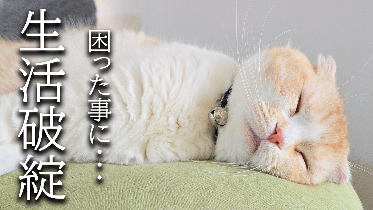 このままでは生活ができなくなります...