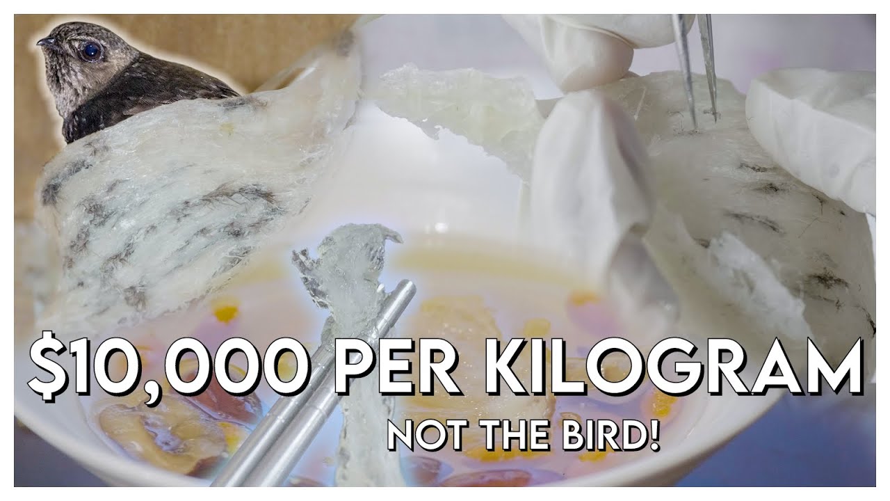 #13: The $10,000 Ingredient, An Inside Look at Malaysia's Prized Bird's Nests