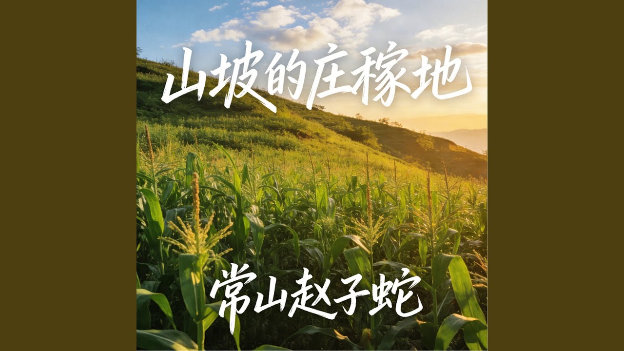 山坡的庄稼地