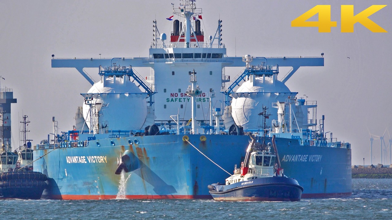 🚢 VERY LARGE CRUDE CARRIER 